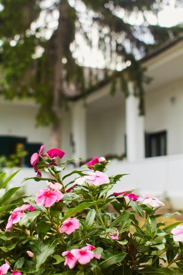 Vadrozsa Vendeghaz Racalmas Guest House Exterior photo